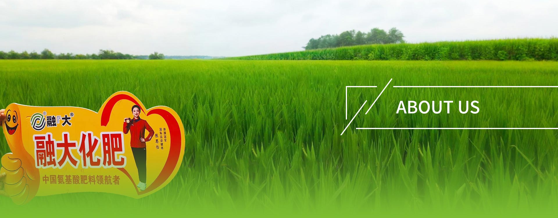 Σχετικά με εμάς